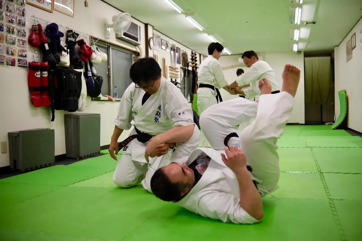 6月に入りました。