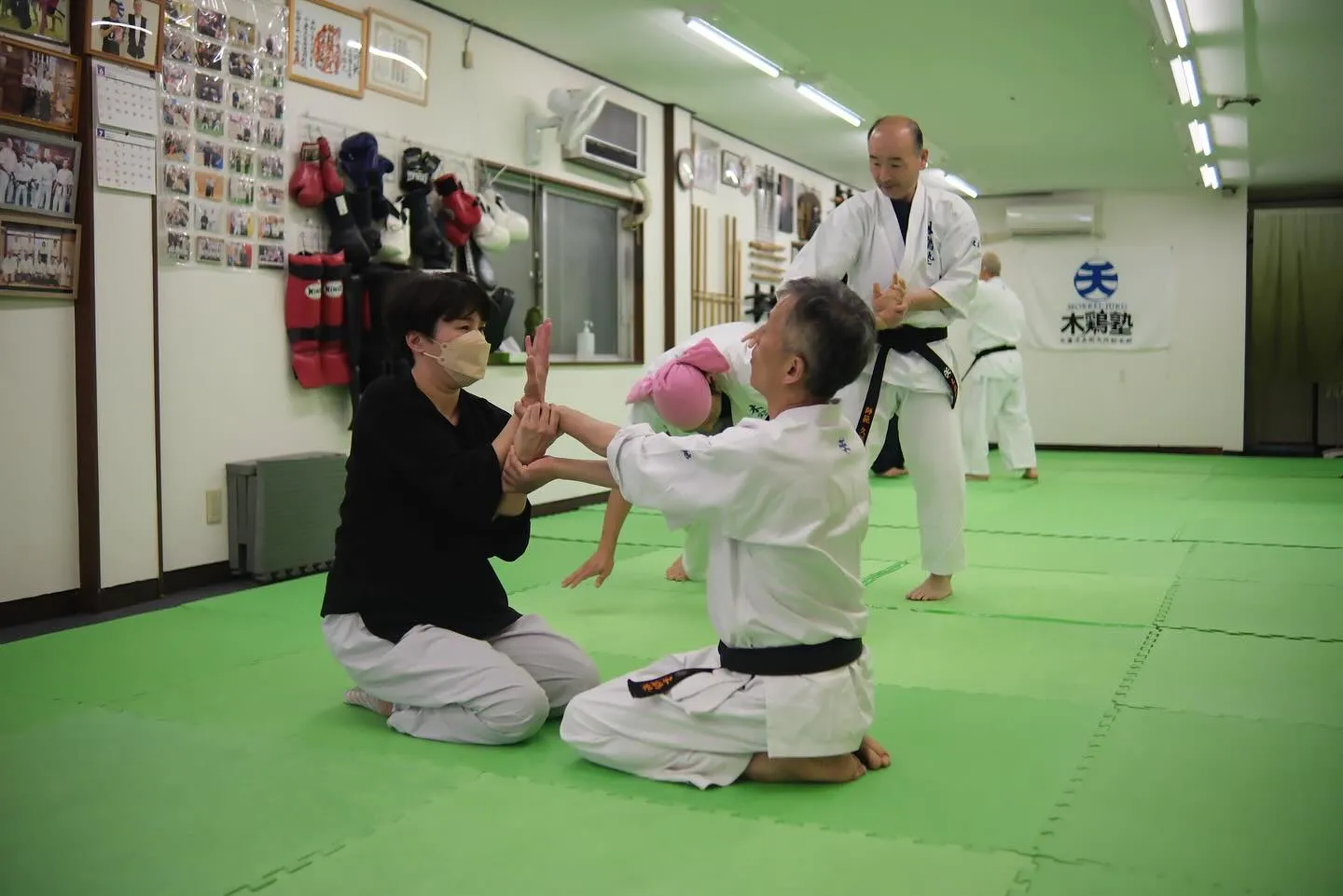 6月に入りました。