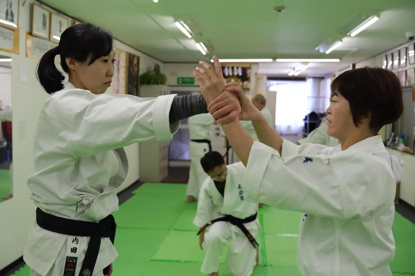 天庸流柔術は守りの武術ですが、最近は「純粋に日本の武道を学び...